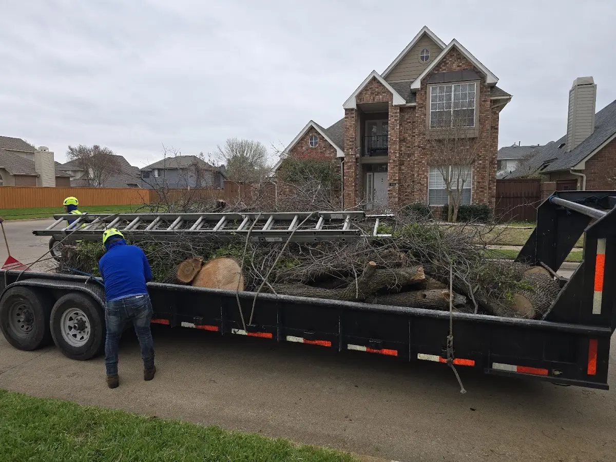 Expert Tree Fertilization with proper safety equipment in Kodiak